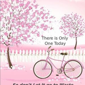 Meet your Posher, Chantell